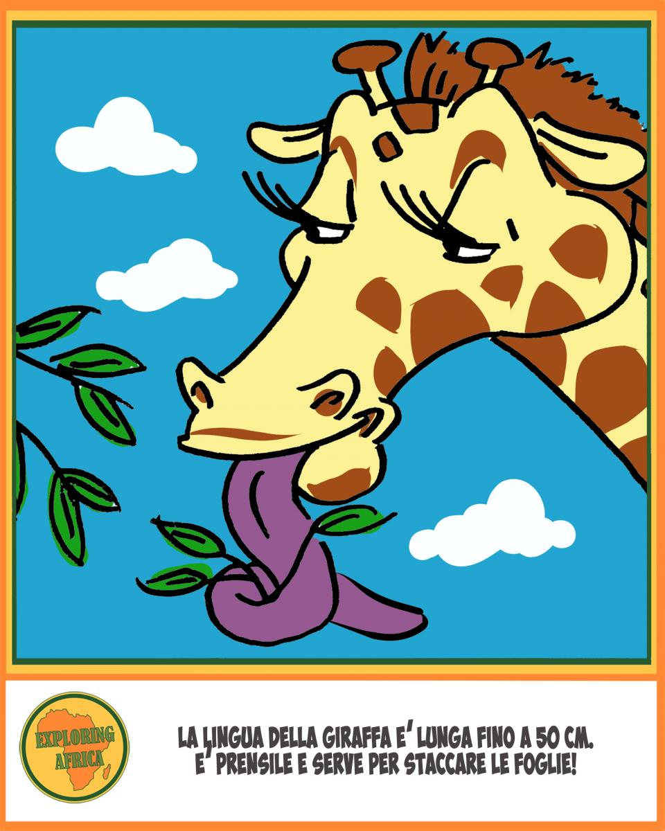 giraffa fumetto