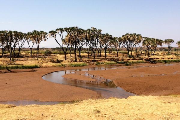 Samburu National Reserve the river