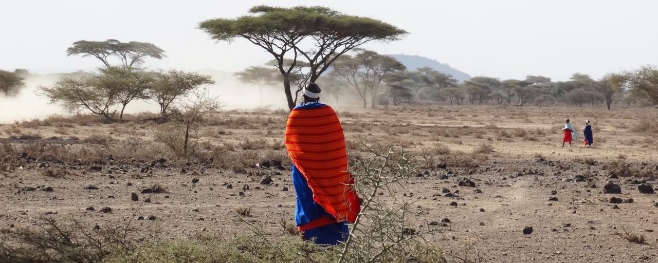 maasai woman walks in the savannah