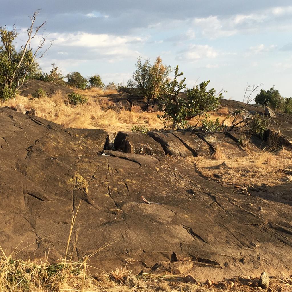 Kopjes in Serengeti National Park