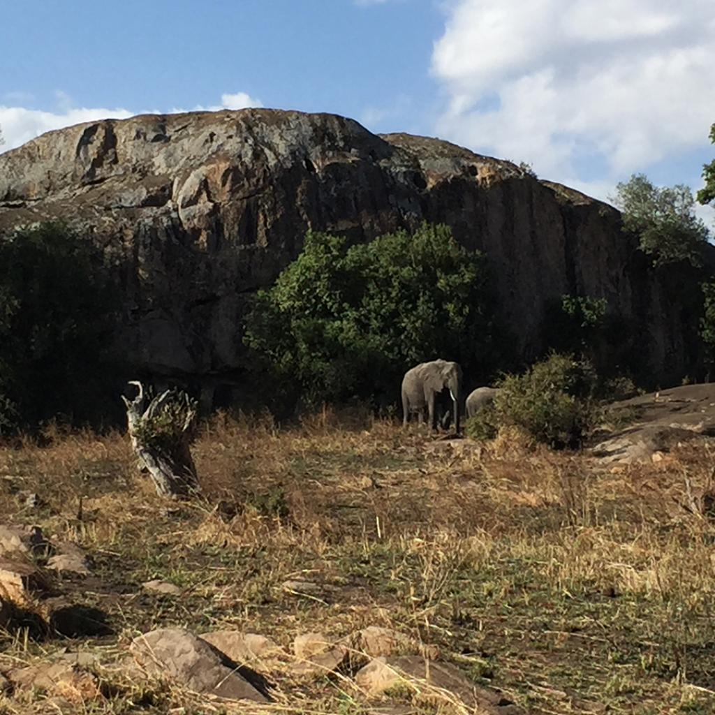 Serengeti National Park: Lobo Valley elephant and kopjes