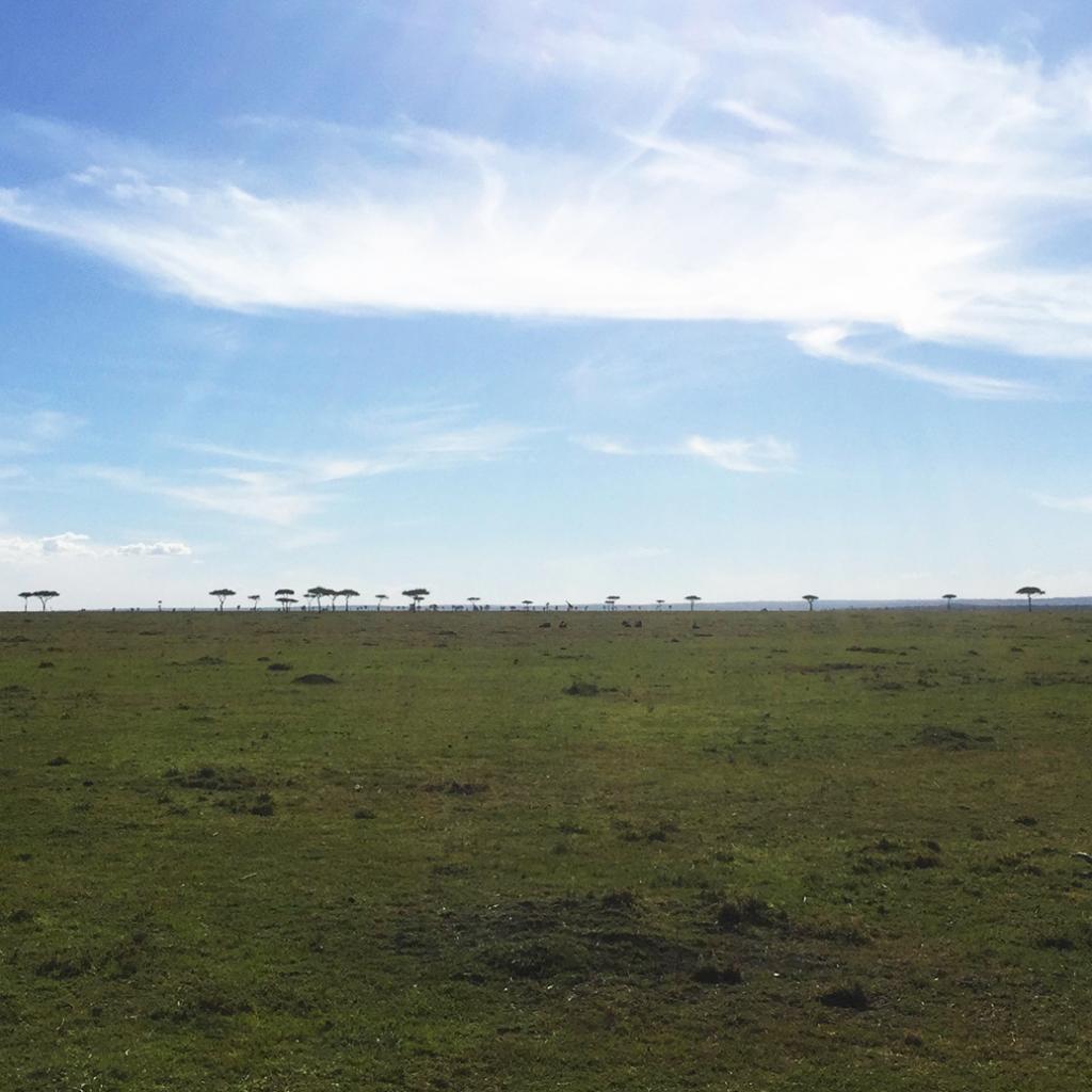 infinity landscape in Masai Mara National Reserve