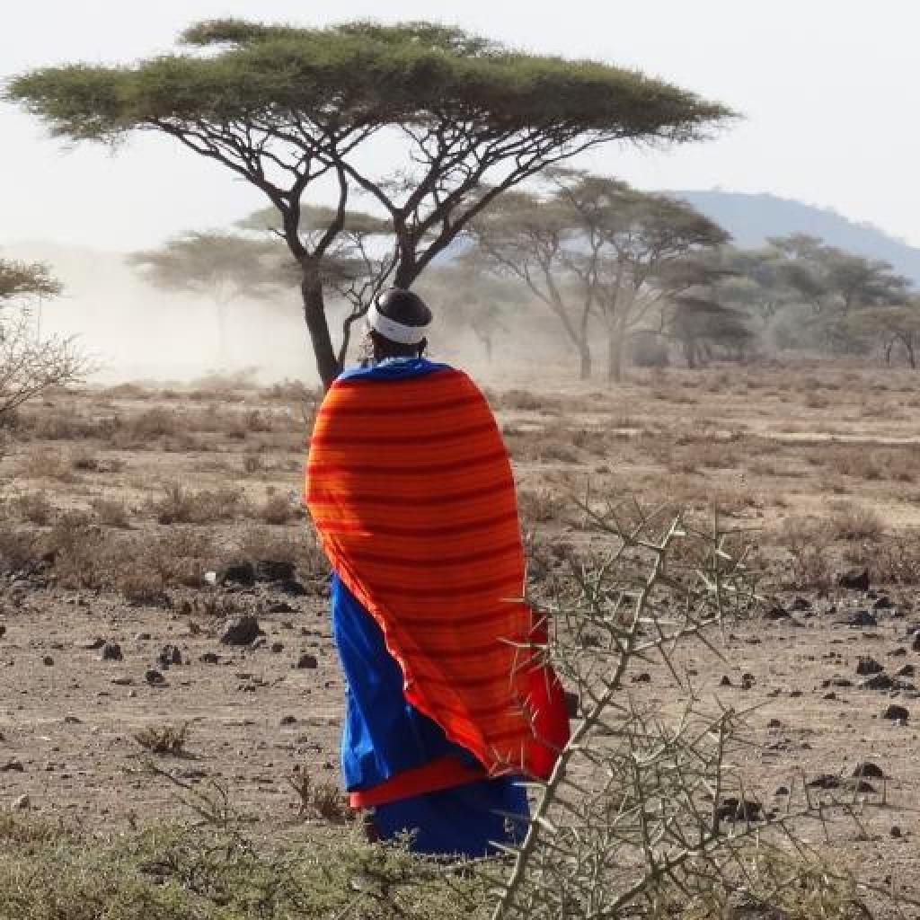 masai exploringafrica safariadv africa viaggio travel kenya tanzania