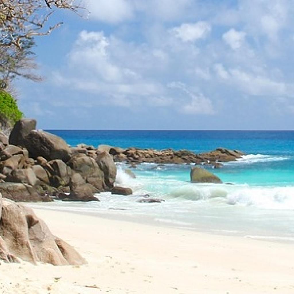 Seychelles beach ocean 