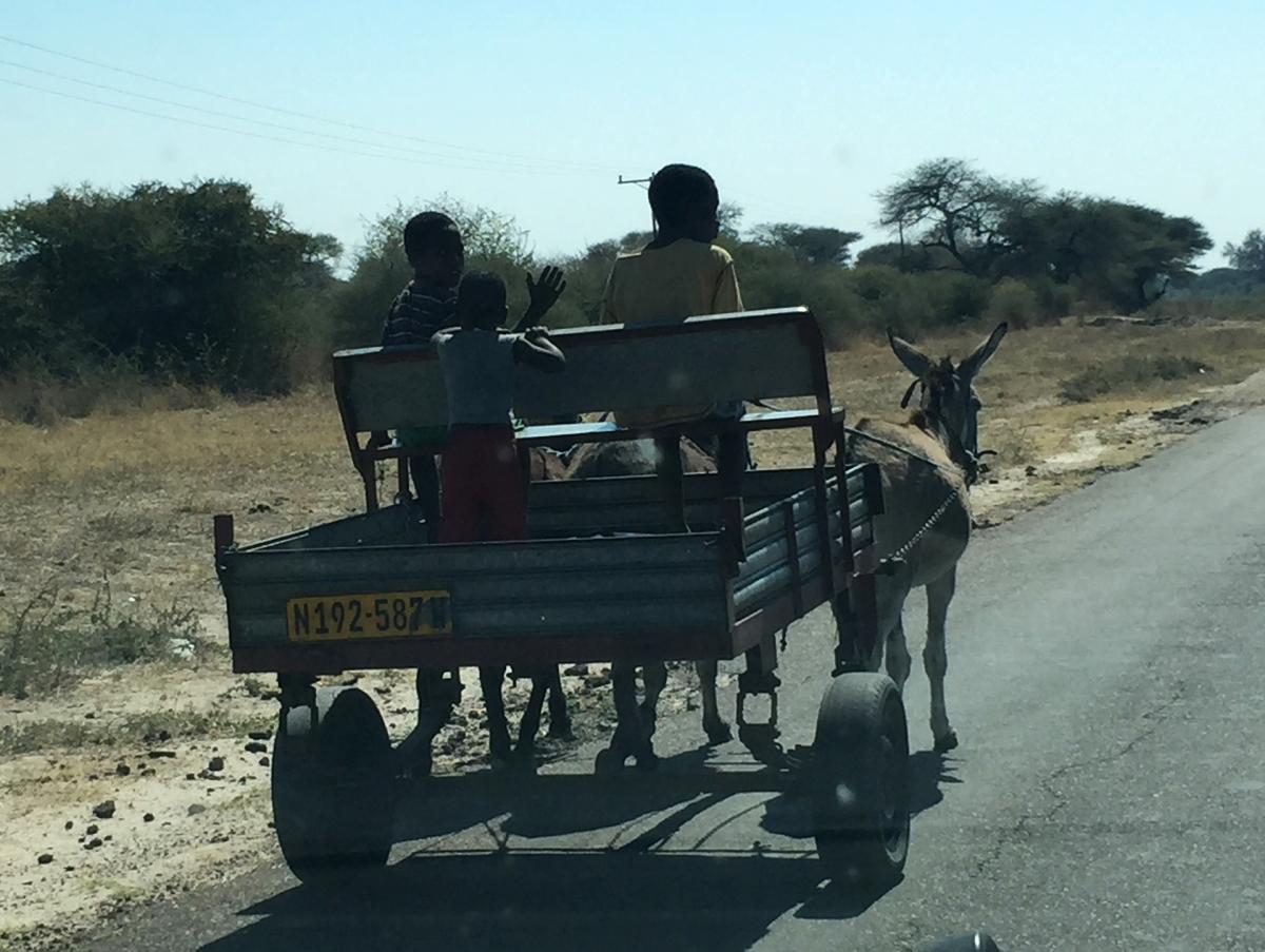 botswana exploringafrica safariadv romina facchi road travel