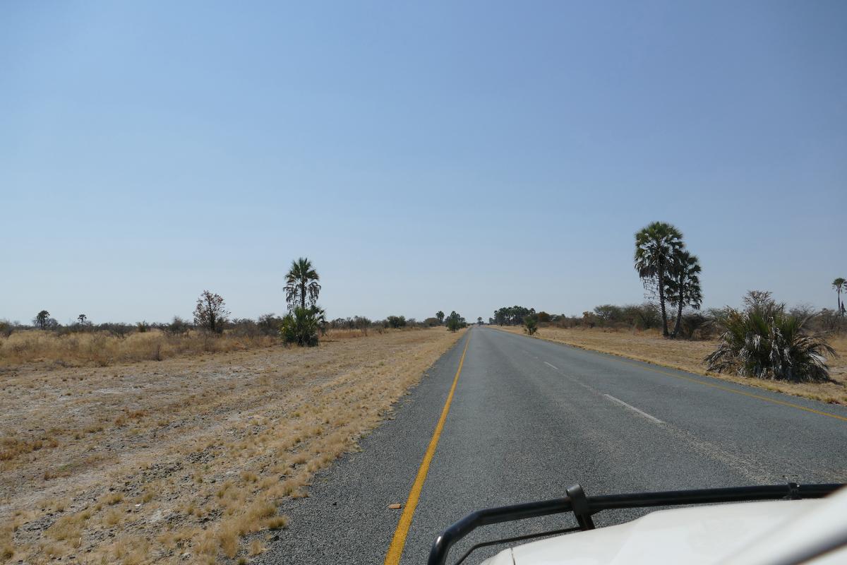Botswana on the road