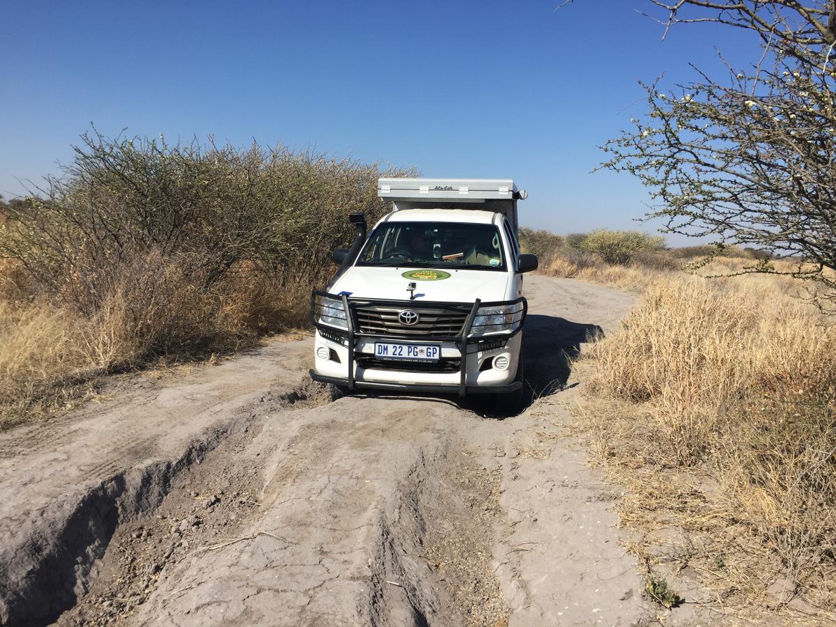 central kalahari ckgr road botswana exploringafrica safariadv romina facchi desert