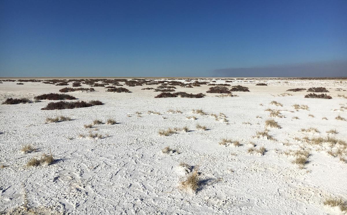 exloringafrica safariadv rominafacchi travel etosha namibia