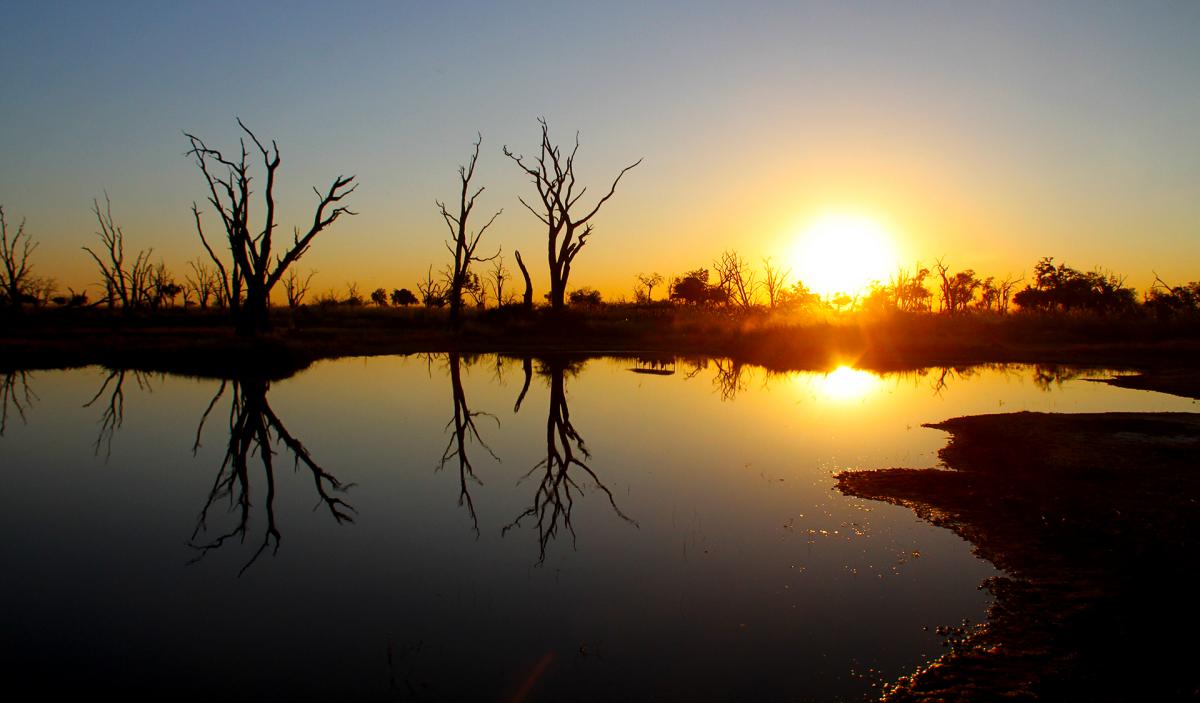 botswana safari leopard moremi africa africa safariadv exploringafrica romina facchi travel viaggi