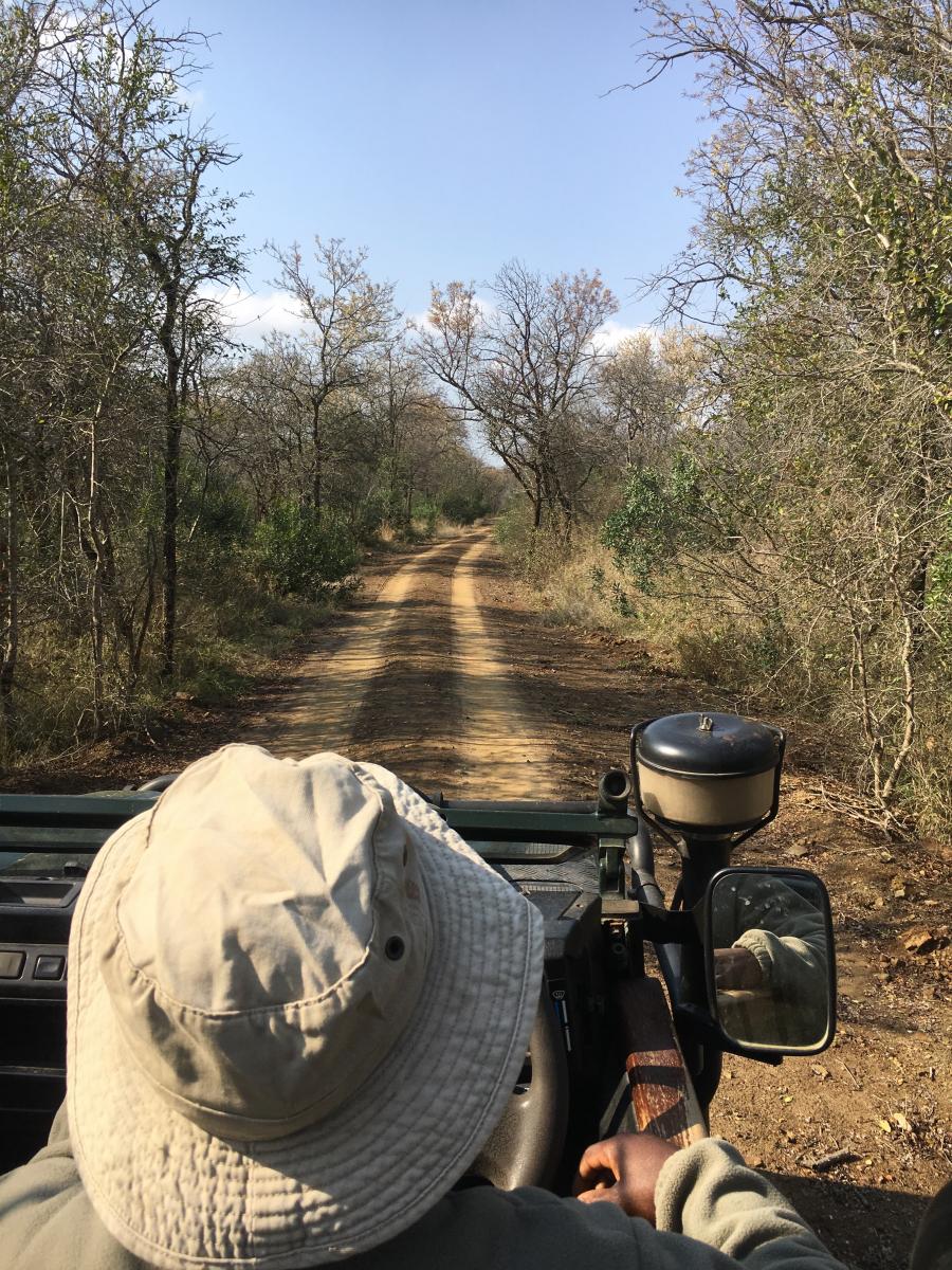 isimangaliso south africa romina facchi safari