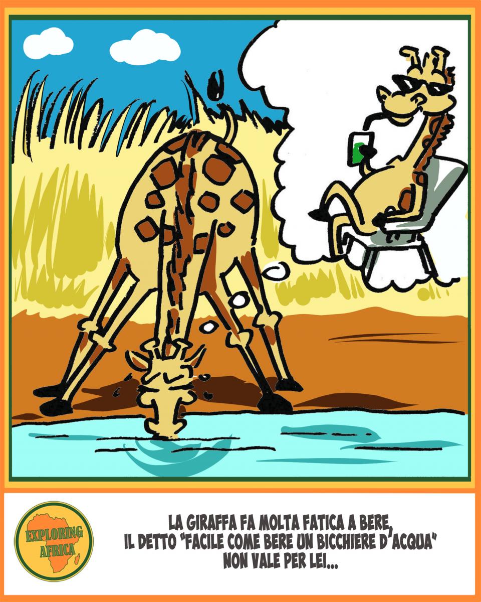 giraffa che beve fumetto