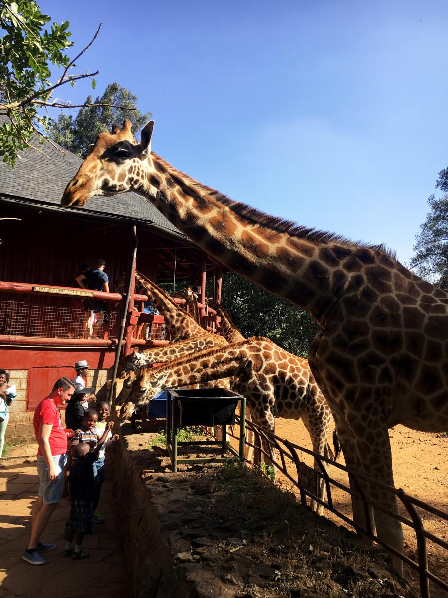 nairobi kenya giraffe center 