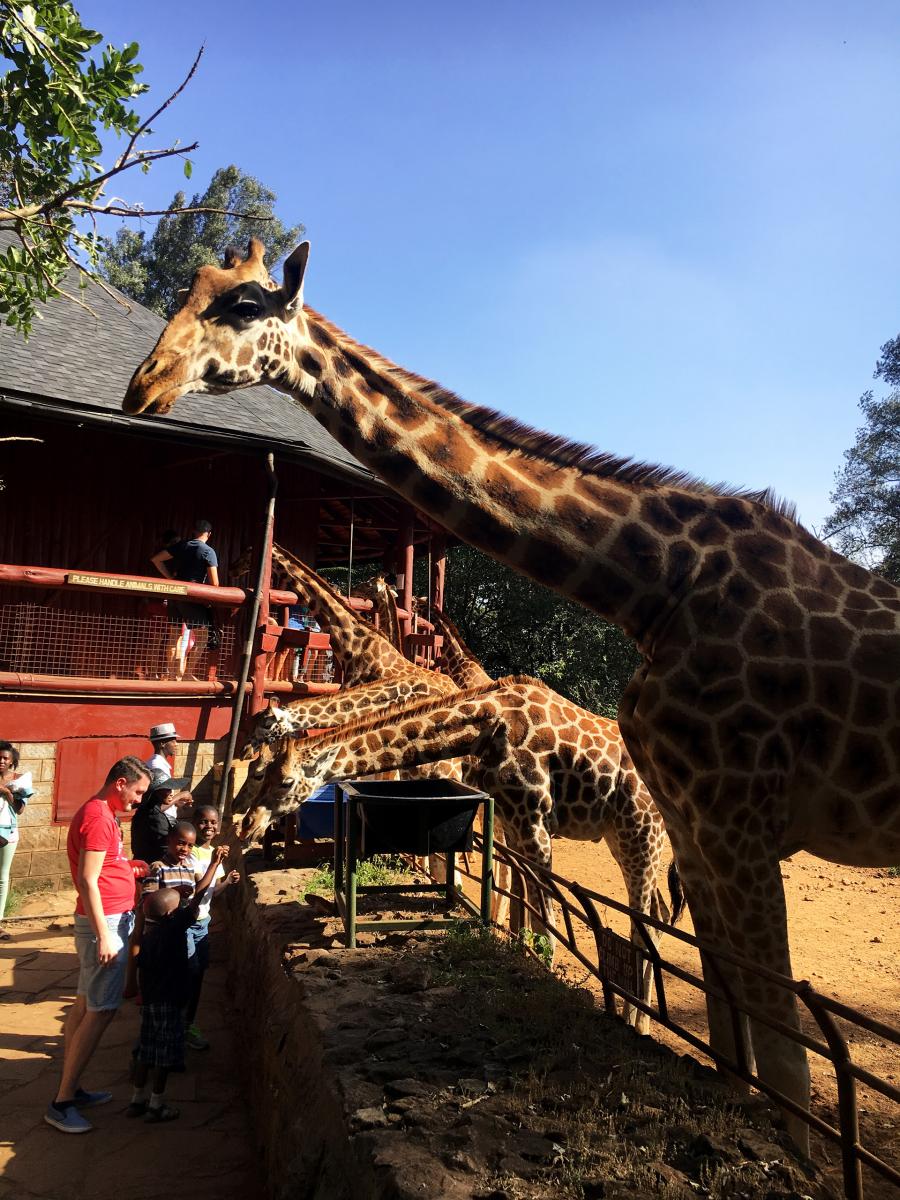 nairobi kenya giraffe center