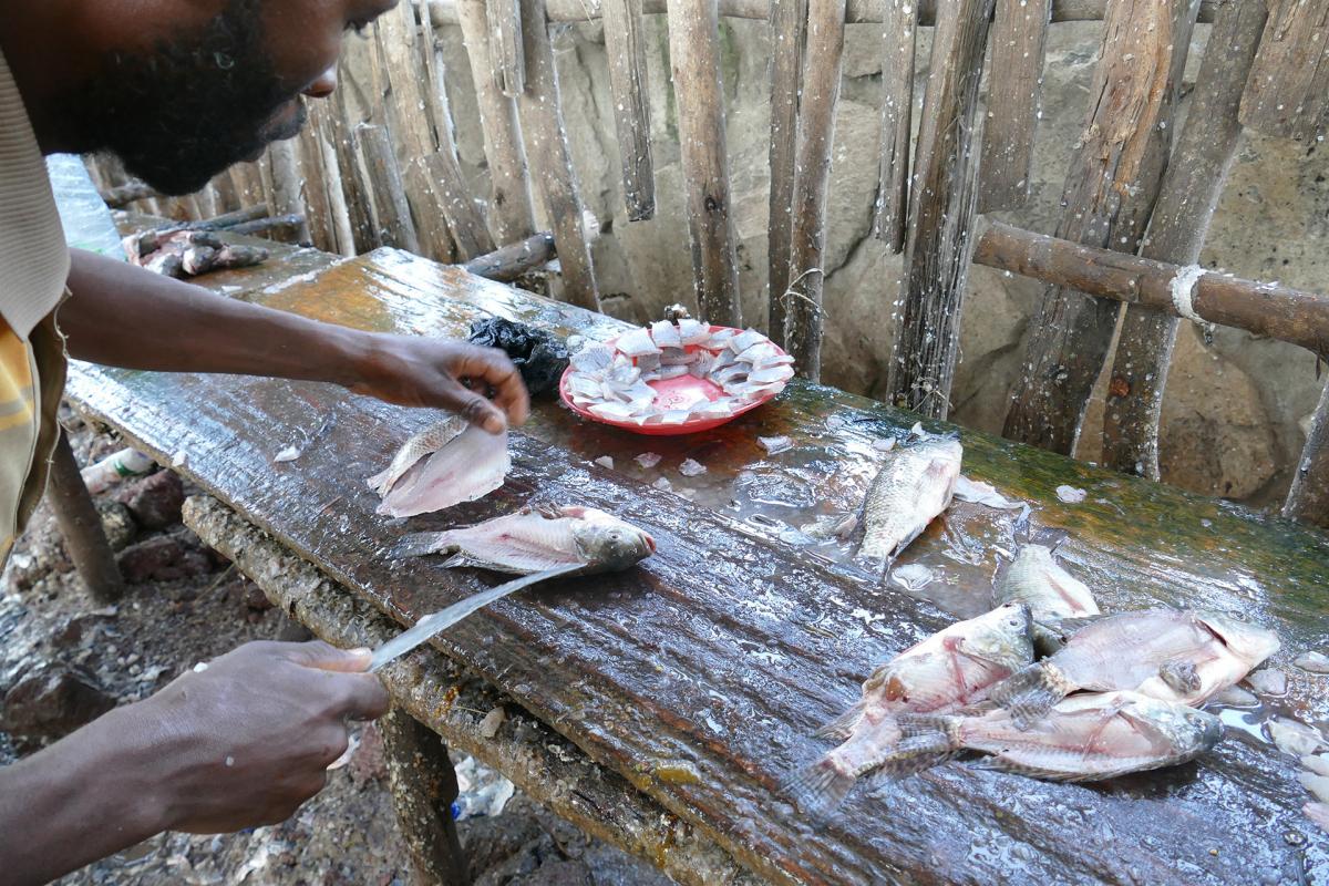 Hawassa Fish market ethiopia