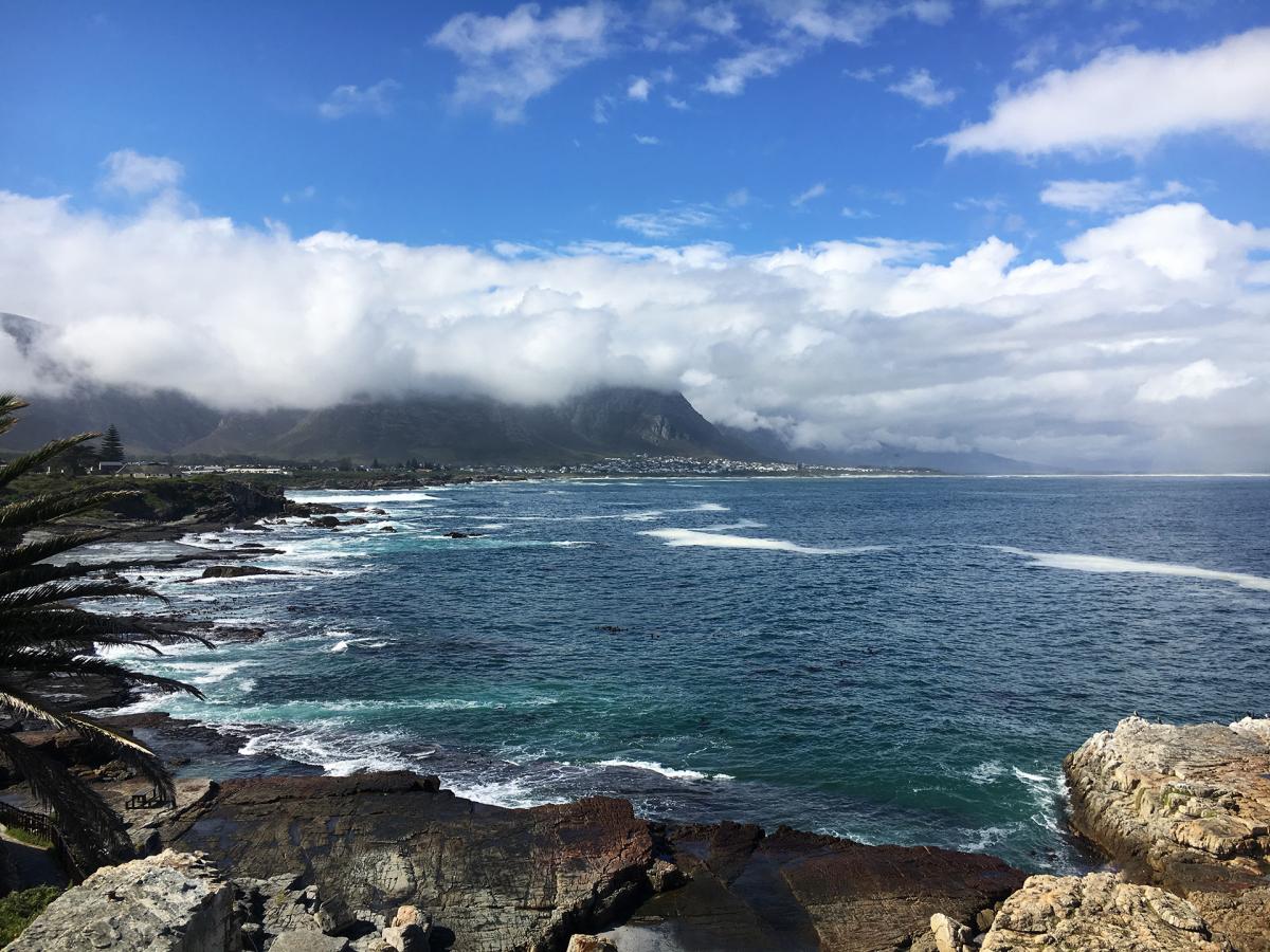 hermanus southafrica whale exploringafrica safariadv romina facchi