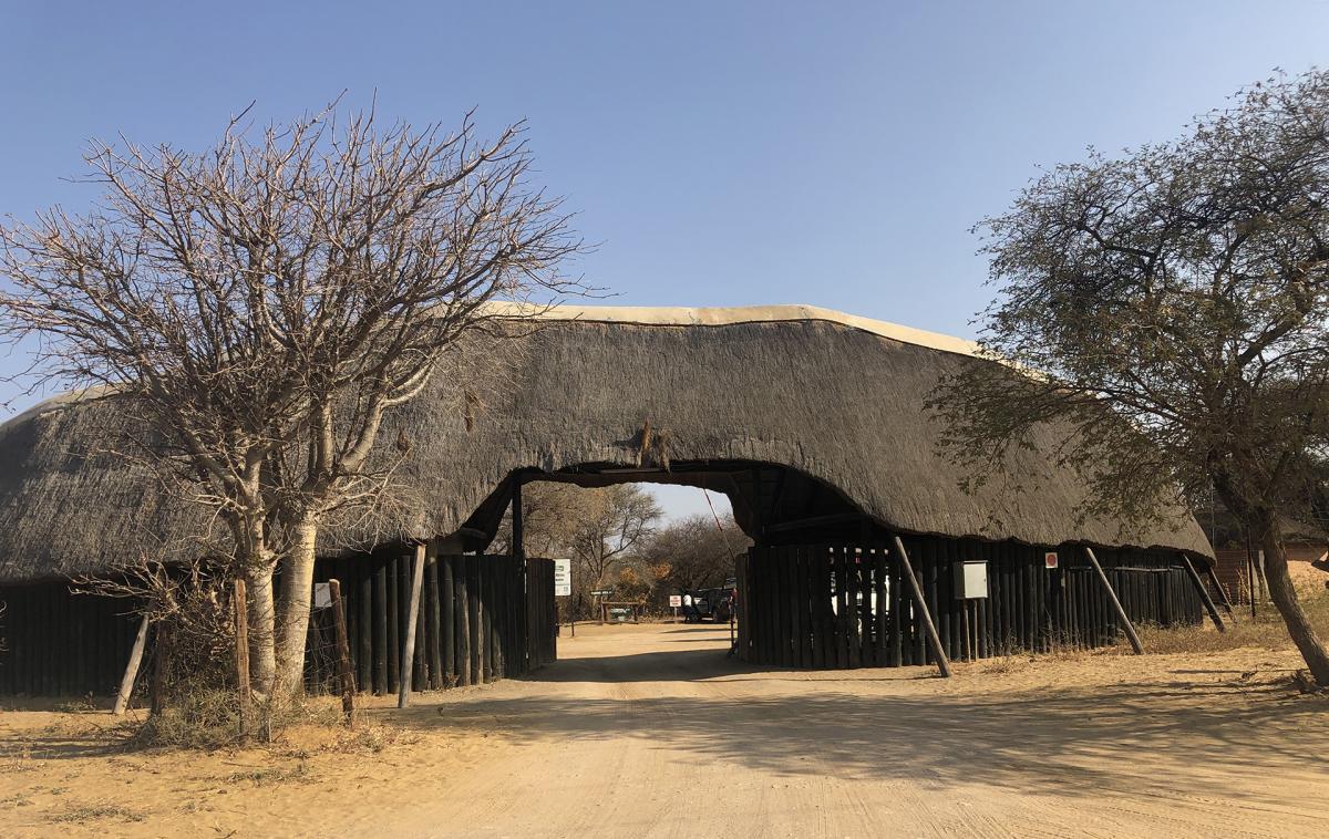 south africa botswana khama rhino marakele