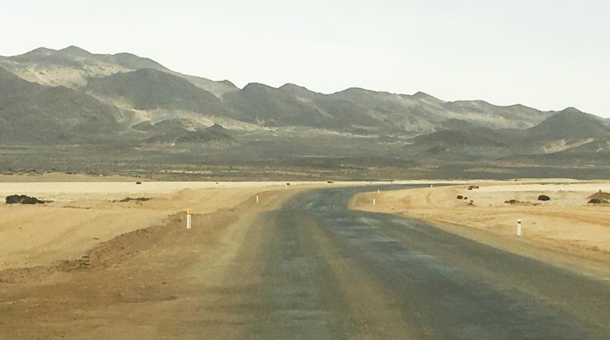 exploringafrica safariadv namibia dorob