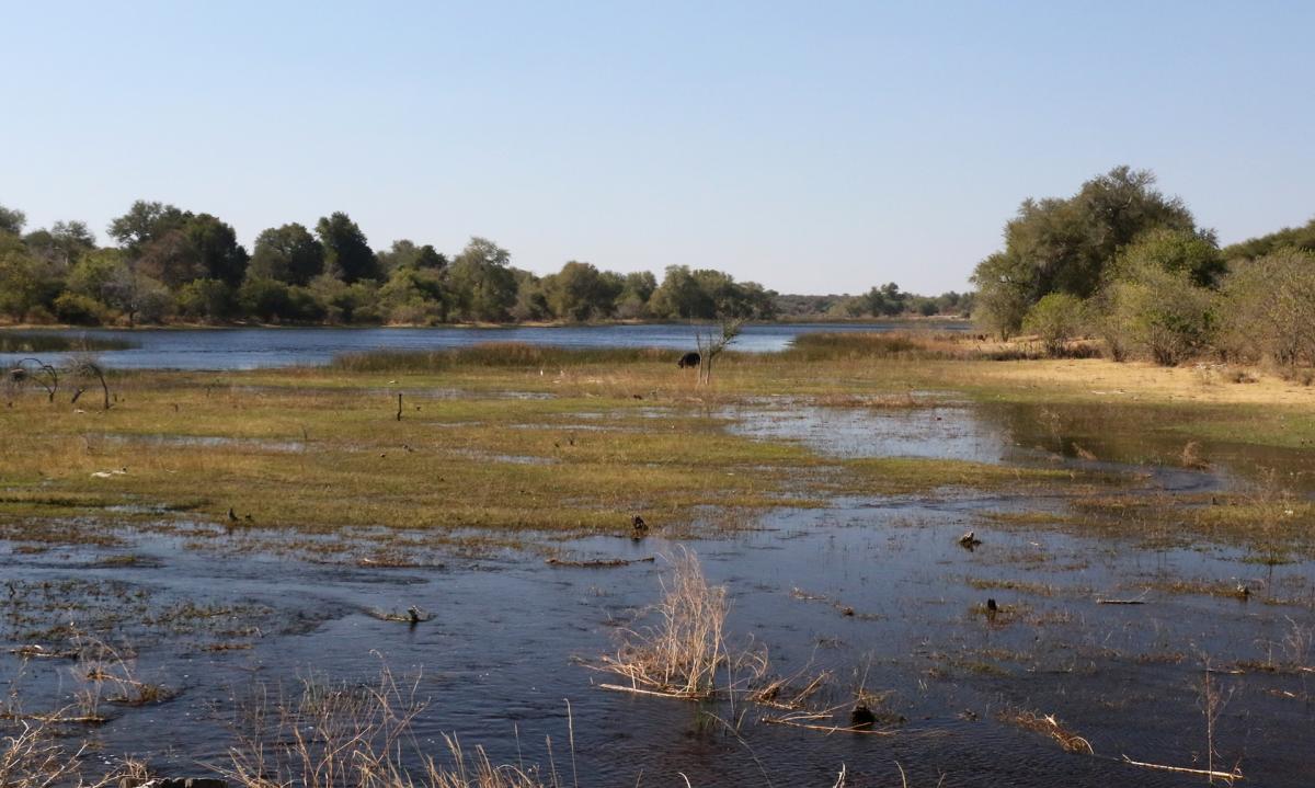 exploringafrica safariadv romina facchi botswana 