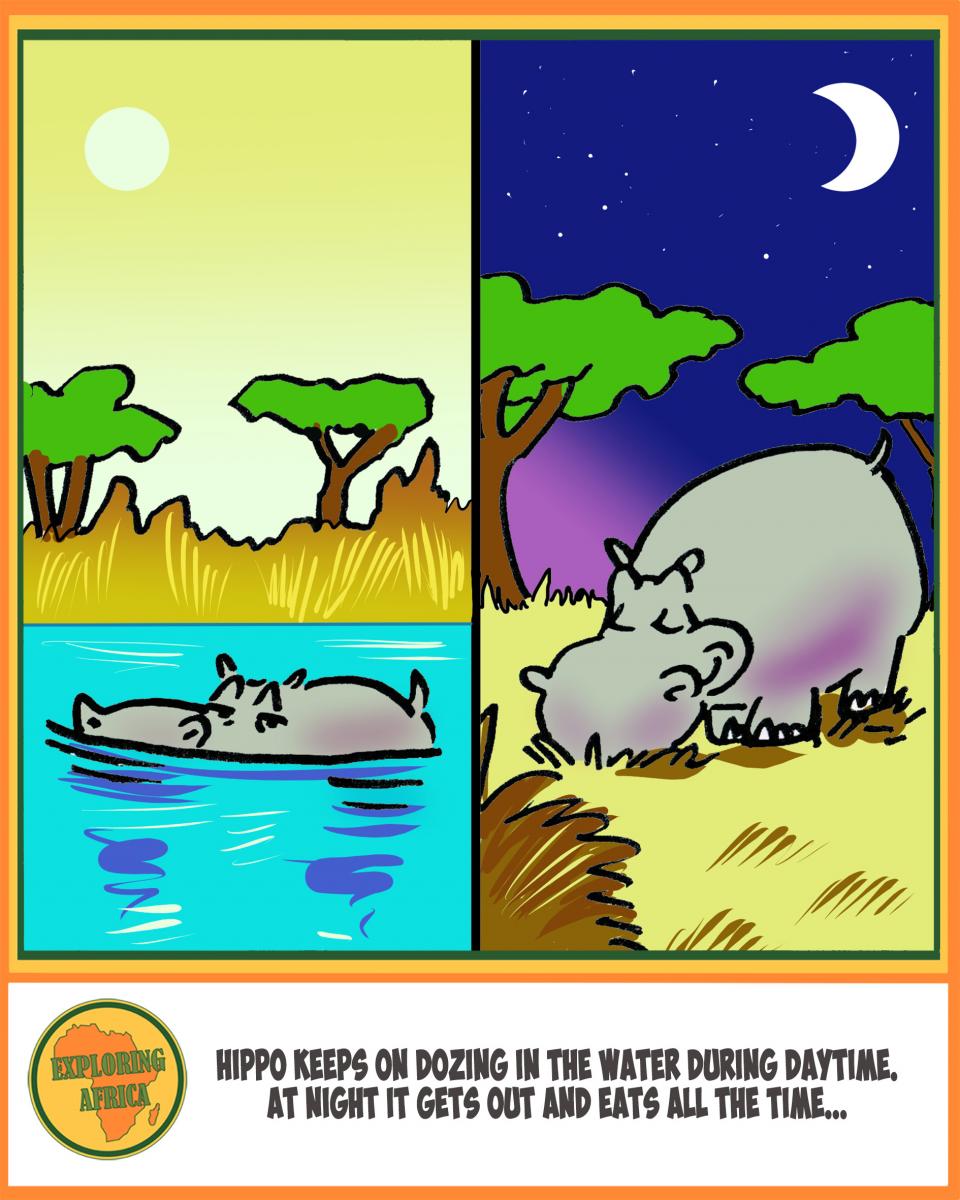 hippo comics cartoon