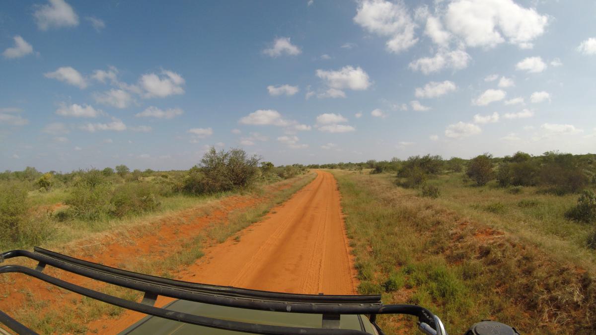 kenya exploringafrica safariadv romina facchi travel safari tsavo