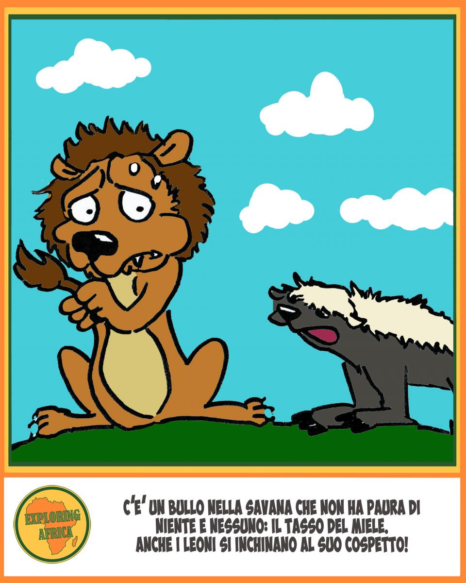 tasso del miele fumetto comics honey badger