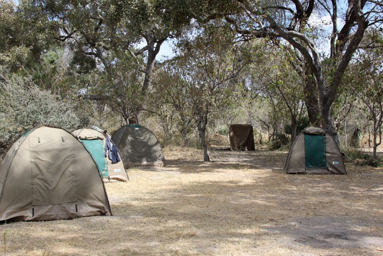 Moremi camping botswana exploringafrica safariadv romina facchi