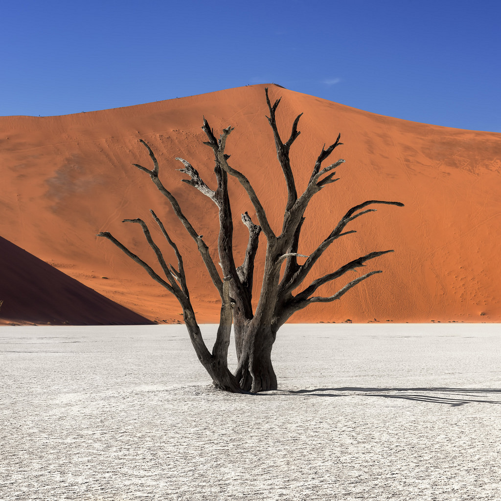 Namibia Namibia desert 