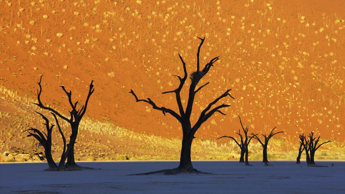 namibia Namibia desert