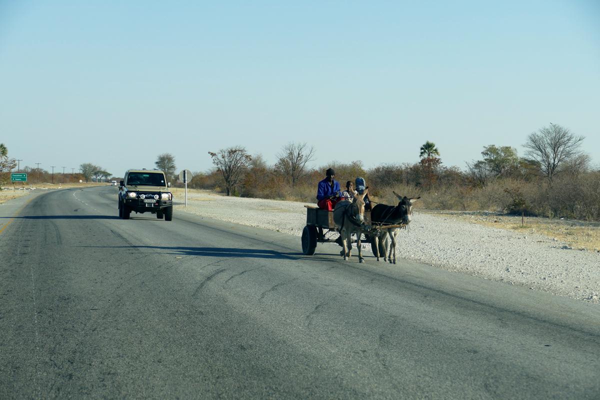 botswana 