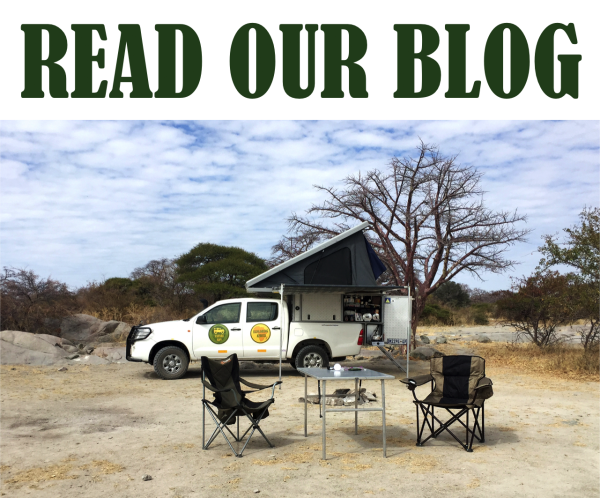 exploringafrica safariadv romina facchi botswana namibia south africa 