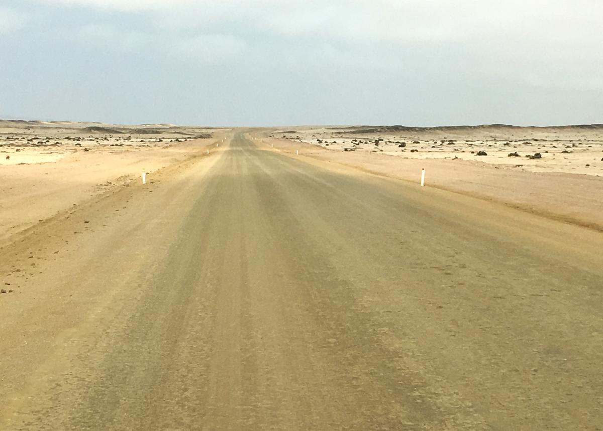 cape cross rominafacchi exploringafrica safariadv namibia