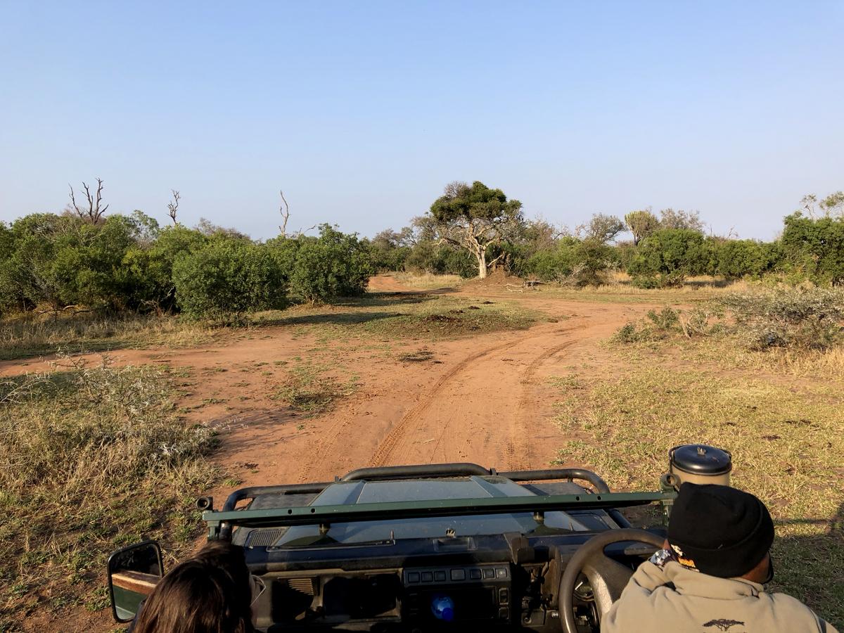 Mkhaya Game Reserve exploringafrica safariadv