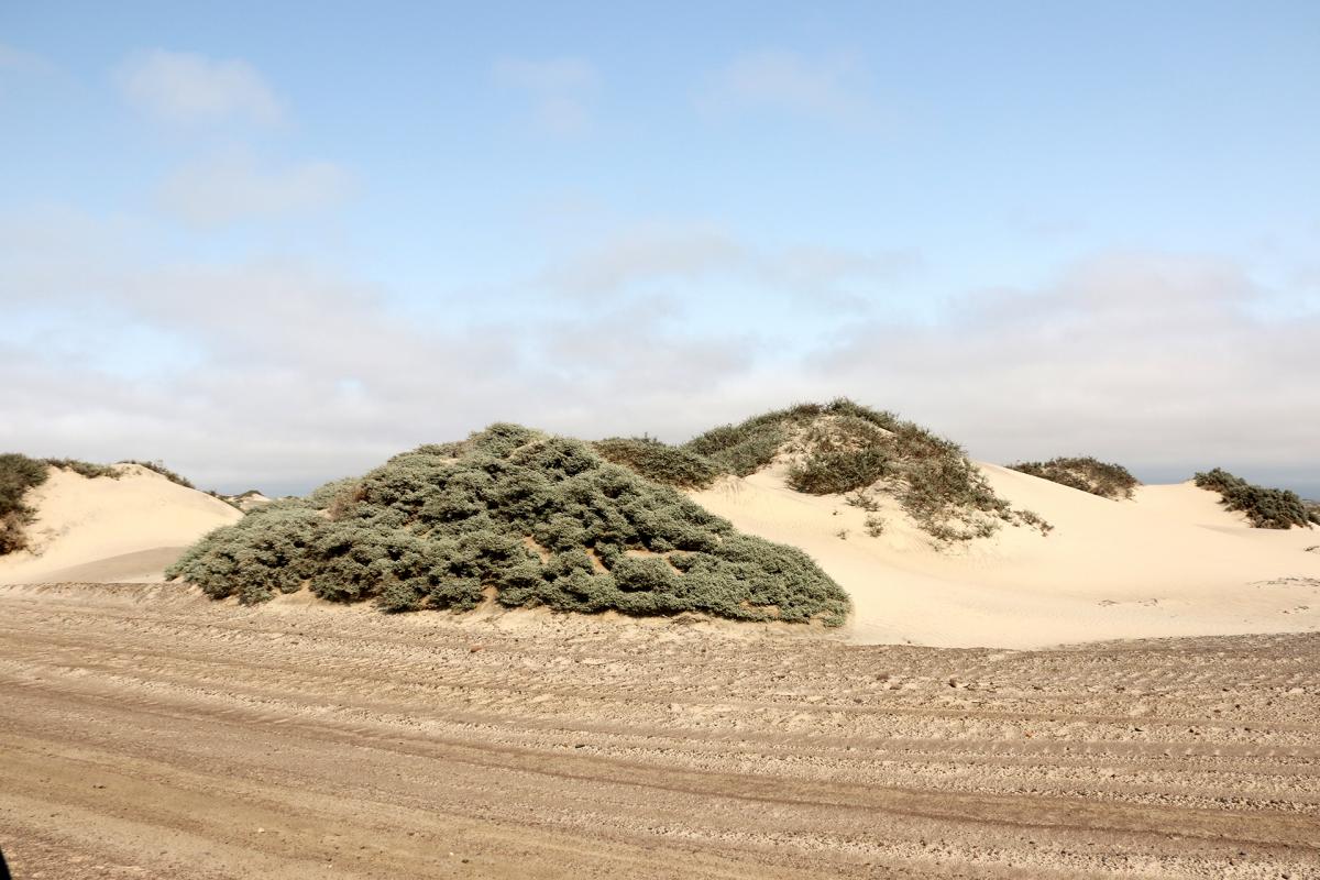 skeleton coast rominafacchi exploringafrica safariadv namibia