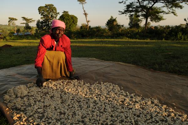 luo woman with cassava 