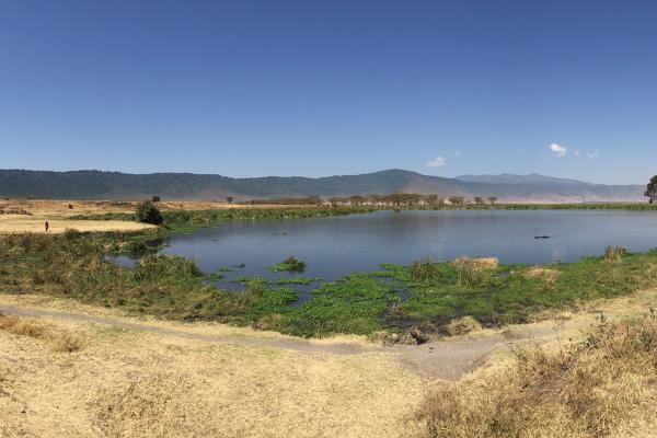 Ngorongoro Conservation Area