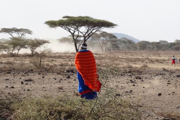 maasai woman walks in the savannah