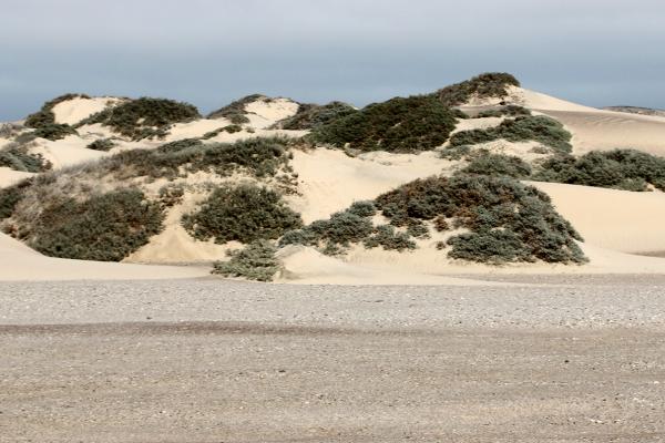 skeleton coast namibia exploringafrica SafariADV romina facchi travel safari africa