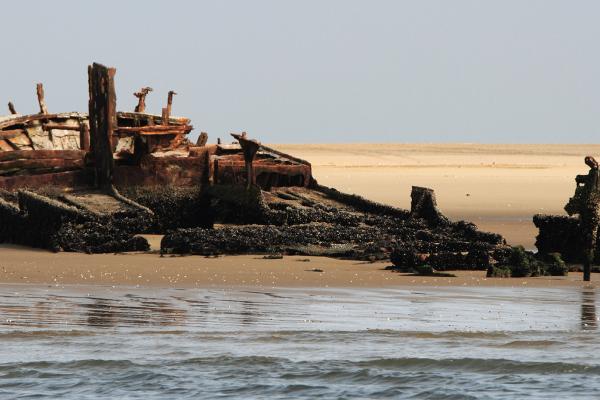 skeleton coast namibia exploringafrica SafariADV romina facchi travel safari africa