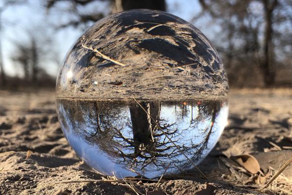 Ntwetwe Pan: Baobab botswana south africa exploringafrica safariadv romina facchi travel chobe savuti moremi okavango
