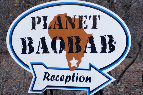 Botswana: Planet Baobab botswana south africa exploringafrica safariadv romina facchi travel chobe savuti moremi okavango