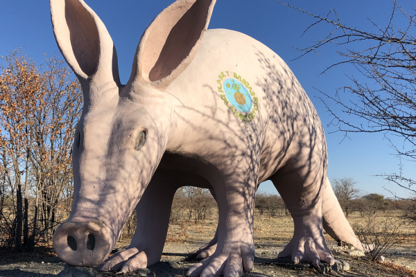 Planet baobab botswana south africa exploringafrica safariadv romina facchi travel chobe savuti moremi okavango