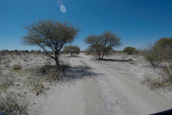Botswana: Central Kalahari botswana south africa exploringafrica safariadv romina facchi travel chobe savuti moremi okavango