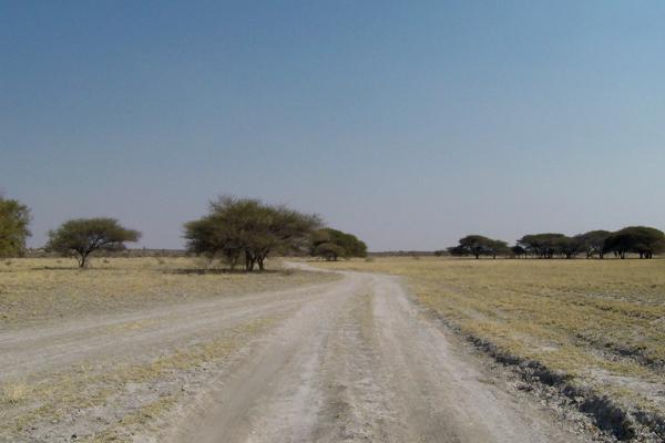 Central Kalahari botswana south africa exploringafrica safariadv romina facchi travel chobe savuti moremi okavango