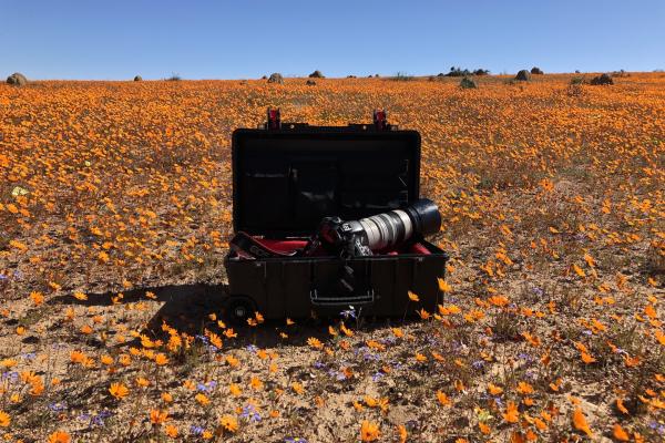 namaqua national park 