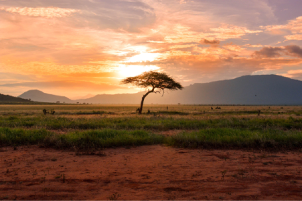 tramonto africano