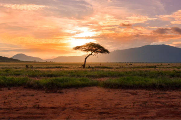 tramonto africano tramonto africano