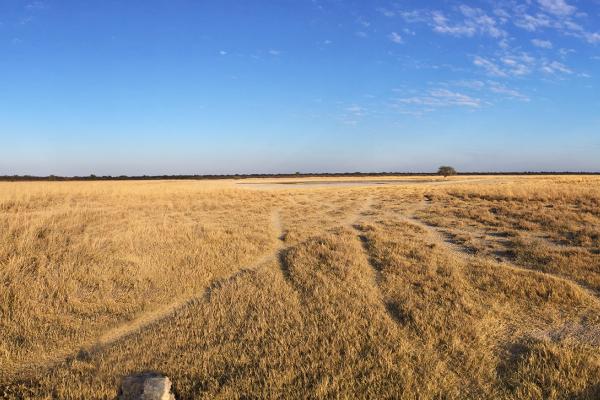 Khama Rhino Sanctuary botswana safari khama rhino sanctuary africa safariadv exploringafrica romina facchi