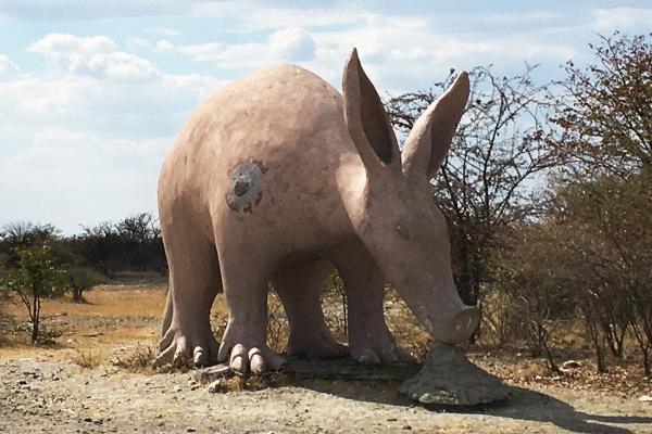 Planet Baobab planet baobab botswana exploringafrica safariadv romina facchi