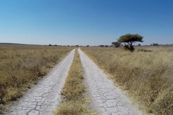 Central Kalahari Game Reserve central kalahari CKGR exploringafrica safariadv romina facchi botswana desert
