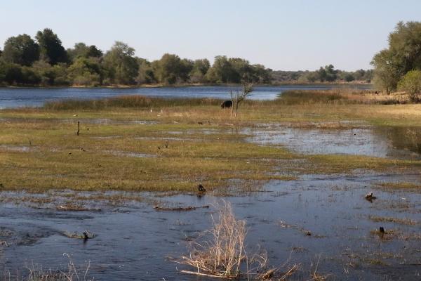 Boteti River botswana maun exploringafrica safariadv romina facchi